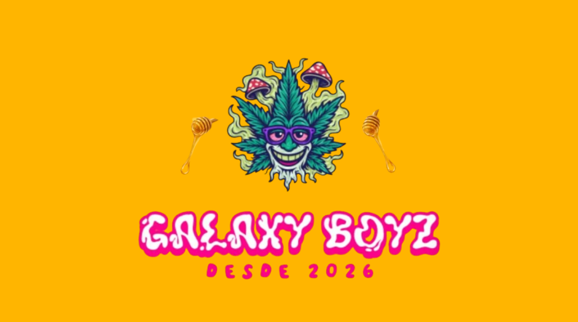 GALAXY BOYZ